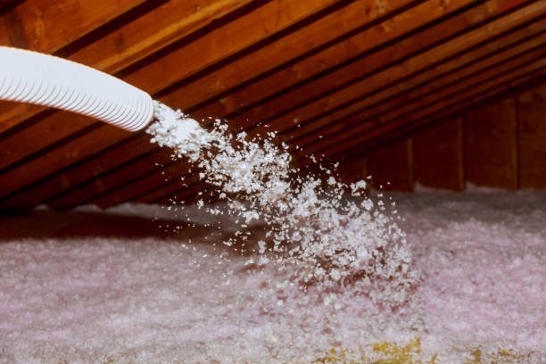 Best Fiberglass Insulation in Deland Southwest, FL