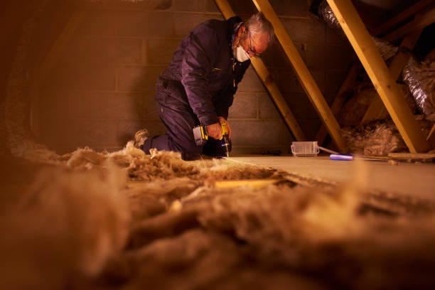 Best Blown-in Insulation in Deland Southwest, FL